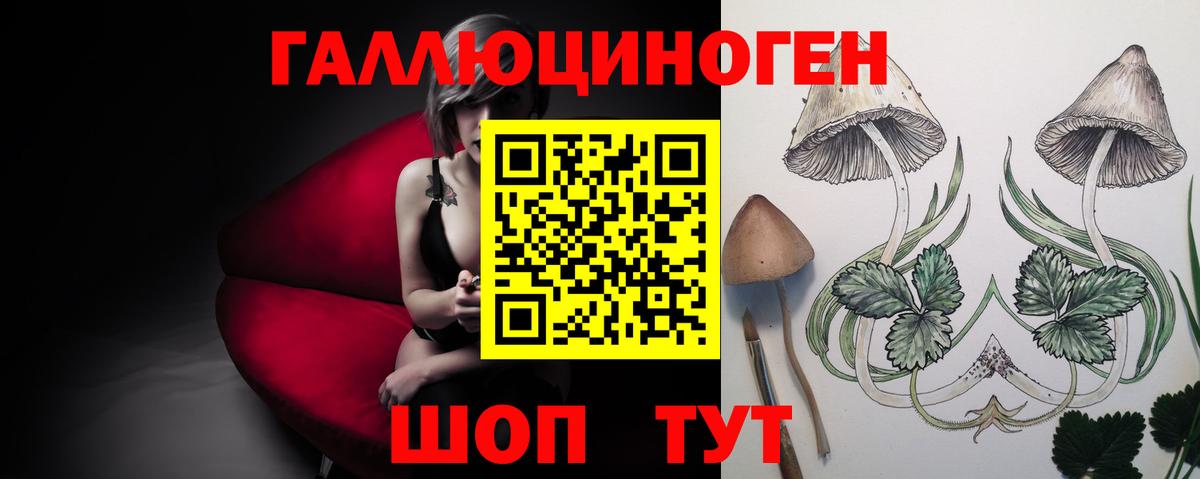 Псилоцибиновые грибы Psilocybine cubensis Фролово