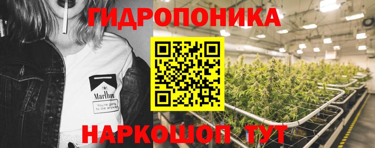 МАРИХУАНА THC 21%  Бошки Шишки план  Фролово 