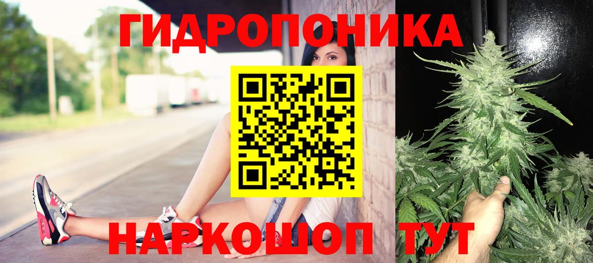 Канабис SATIVA & INDICA Фролово